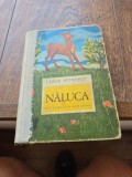 Năluca - Cezar Petrescu