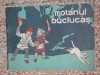 Motanul buclucas - Carte ilustrată pentru copii, Povesti cu animale, Editura necunoscuta, 20 pagini
