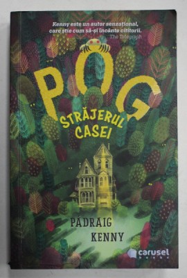 POG , STRAJERUL CASEI de PADRAIG KENNY , 2020 foto