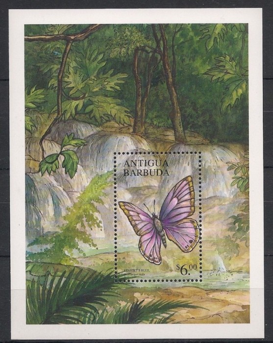 ANTIGUA 2000 FAUNA INSECTE FLUTURI ARBORI