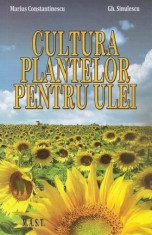 Cultura plantelor pentru ulei foto