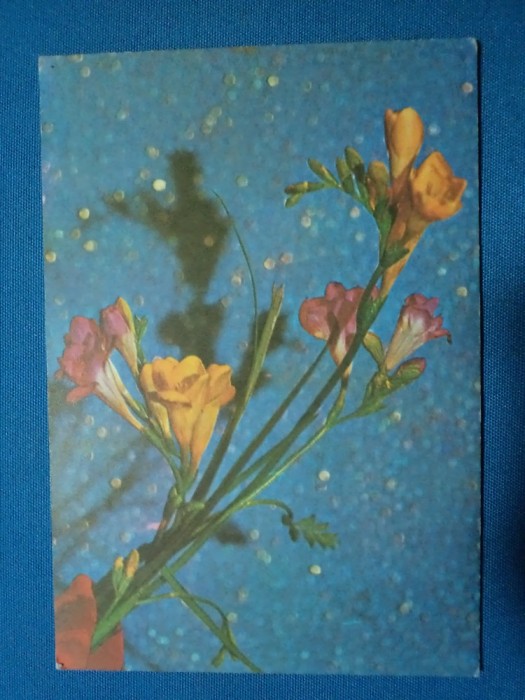 CARTE POSTALA BUCHET DE FLORI
