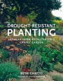 Drought-Resistant Planting: Lessons from Beth Chatto&#039;s Gravel Garden