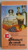 Bauturi de casa din fructe si legume - Dorina Martin, Mihai Martin