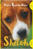 Carte beletristica Shiloh - Phyllis Reynolds Naylor, stare anticariat buna