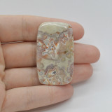 Cabochon agat crazy lace 43x26x5mm c51