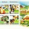 S. TOME E PRINCIPE 2008 - Animale domestice/ colita MNH