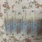Bacnote de 20 lei in ordine