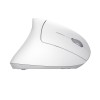 MOUSE Trust VERTO WIRELESS ERGO MOUSE WHT &quot;25132&quot; (timbru verde 0.18 lei)
