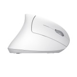 MOUSE Trust VERTO WIRELESS ERGO MOUSE WHT &quot;25132&quot; (timbru verde 0.18 lei)