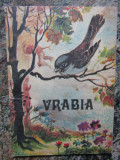 Vrabia-Simion Florea Marian 1975 il. Coca Cretoiu - Seinescu