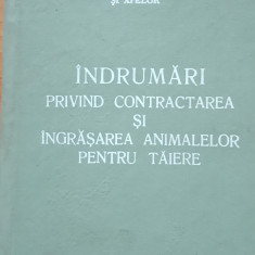 INDRUMARI PRIVIND CONTRACTAREA SI INGRASAREA ANIMALELOR PENTRU TAIERE