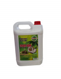 Sapun lichid Cloret Cocos Fresh, cu glicerina, PH control, 5 L