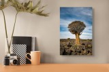 Tablou Canvas, "Arborele singuratic din deșertul arid", Copac, Deșert, Cer, Pietre, Vegetație, 26 x 39 cm, CMCLASS