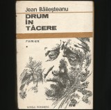 DRUM &Icirc;N TĂCERE - JEAN BĂILEȘTEANU - ROMAN CONTEMPORAN * EDITURA SCRISUL ROM&Acirc;NESC, 1987