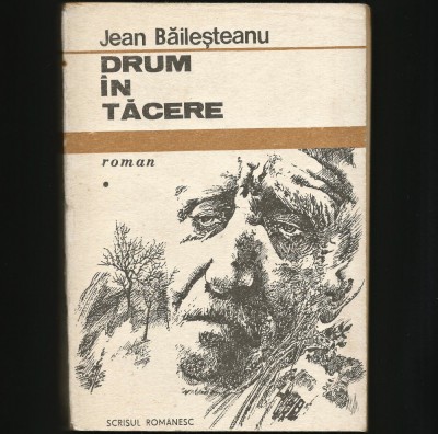 DRUM &amp;Icirc;N TĂCERE - JEAN BĂILEȘTEANU - ROMAN CONTEMPORAN * EDITURA SCRISUL ROM&amp;Acirc;NESC foto