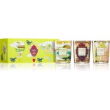 Baobab Collection My First Baobab Green set cadou 1 buc