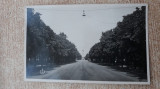 Ploesti- Calea Independenței., Circulata, Fotografie