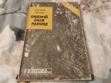 Drumul prin pădure