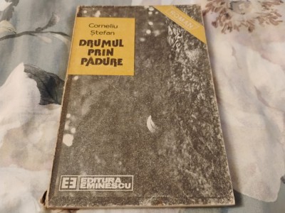 Drumul prin pădure foto
