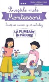 Poveștile mele Montessori - &Icirc;nvăț să număr și să calculez: La plimbare &icirc;n pădure - Paperback brosat - Delphine Urvoy - Didactica Publishing House