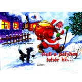 Hull a pelyhes feh&eacute;r h&oacute;... - Radv&aacute;ny Zsuzsa