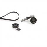 GATES K016PK2520 Micro-V&reg; Kit Set curea transmisie cu caneluri