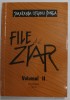 FILE DE ZIAR II - PAGINI DE CRITICA SI PUBLICISTICA MUZICALA de SMARANDA OTEANU - BUNEA , 2008 , DEDICATIE *