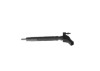 BOSCH 0 445 117 021 Injector