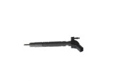 BOSCH 0 445 117 021 Injector