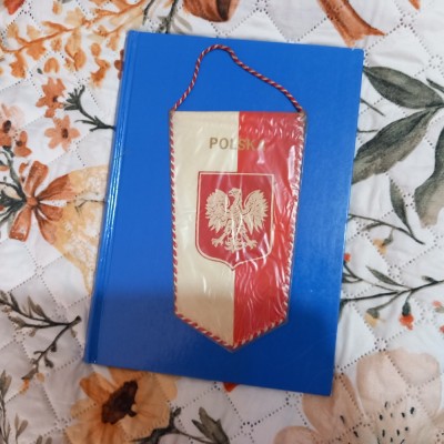 fanion Polonia foto