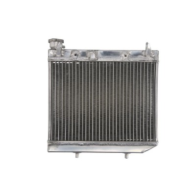 RADIATOR HONDA TRX 450 2006 2014 foto