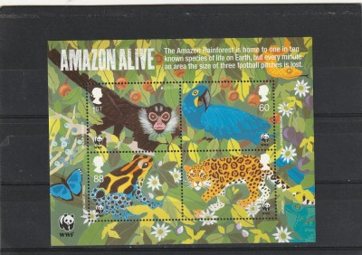 Protectie mediu Amazon WWF ,Anglia. foto