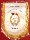 Fanion Directia Judeteana pt Tineret si SPORT Prahova (DJTS) folie de protectie