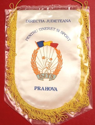Fanion Directia Judeteana pt Tineret si SPORT Prahova (DJTS) folie de protectie foto