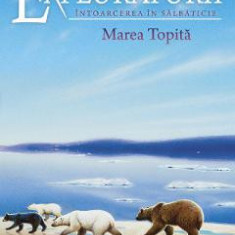 Exploratorii Vol.8: Intoarcerea in salbaticie. Marea topita - Erin Hunter