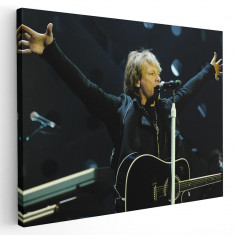 Tablou afis Bon Jovi trupa rock 2372 Tablou canvas pe panza CU RAMA 60x90 cm