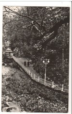 CPI B14283 CARTE POSTALA - SLANIC MOLDOVA. ALEE SPRE IZVOARE, RPR