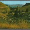 CPI B14168 CARTE POSTALA - MUNTII BUCEGI. VALEA VANTURIS