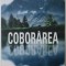 COBORAREA de TIM JOHNSTON , 2018