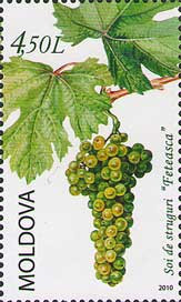 MOLDOVA 2010, Struguri, serie neuzata, MNH foto