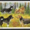 FINLANDA 1989 FAUNA ANIMALE DOMESTICE CAINI
