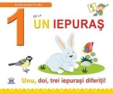 Cumpara ieftin 1 de la un iepuras. Unu, doi, trei iepurasi diferiti!/Greta Cencetti, Emanuela Carletti