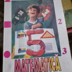 Mariana Mitea, Alina Birta - Matematica. Manual pentru clasa a V-a