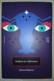 SILVIA FEDERICI - CALIBAN SI VRĂJITOAREA * FEMEILE, CORPUL SI ACUMULAREA PRIMITIVA