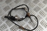 Senzor de temperatură VW POLO AW1, BZ1, AE1 2020 OEM: 06K919529D | 31866851