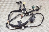 Cablaj ușă st&acirc;nga față NISSAN LEAF ZE1 2020 OEM: 24125-5SJ0C | 12188713