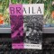 Brăila Mic &icirc;ndreptar turistic text și hartă Costin Ștefănescu București 1965 156