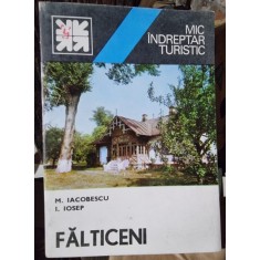 Falticeni, mic indreptar turistic - M. Iacobescu