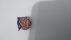 INSIGNA STRAINA foto